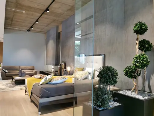 Pflegeleichte Zimmerpflanzen: eine grüne und autonome Dekoration